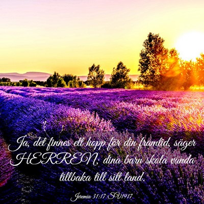 Picture 03 - Jeremia 31:17 SV1917 - Ja, det finnes ett hopp för din framtid, säger - Bible Verse Picture