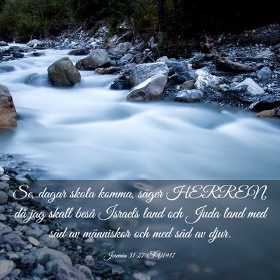 Picture 03 - Jeremia 31:27 SV1917 - Se, dagar skola komma, säger HERREN, då jag - Bible Verse Picture