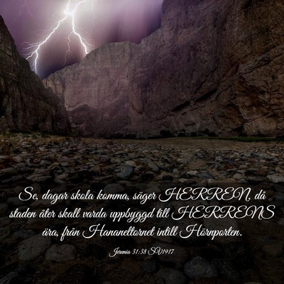 Picture 03 - Jeremia 31:38 SV1917 - Se, dagar skola komma, säger HERREN, då staden - Bible Verse Picture