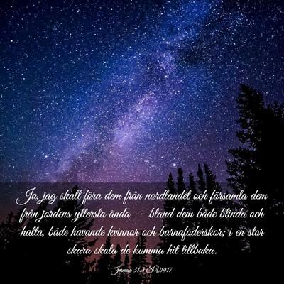 Picture 03 - Jeremia 31:8 SV1917 - Ja, jag skall föra dem från nordlandet och - Bible Verse Picture