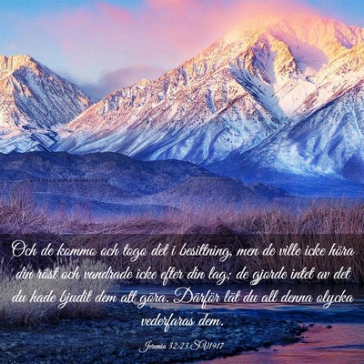 Picture 03 - Jeremia 32:23 SV1917 - Och de kommo och togo det i besittning, men de - Bible Verse Picture