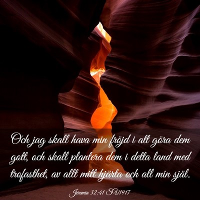 Picture 03 - Jeremia 32:41 SV1917 - Och jag skall hava min fröjd i att göra dem - Bible Verse Picture