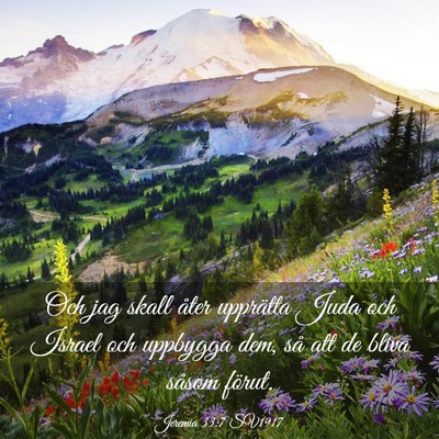 Picture 03 - Jeremia 33:7 SV1917 - Och jag skall åter upprätta Juda och Israel och - Bible Verse Picture