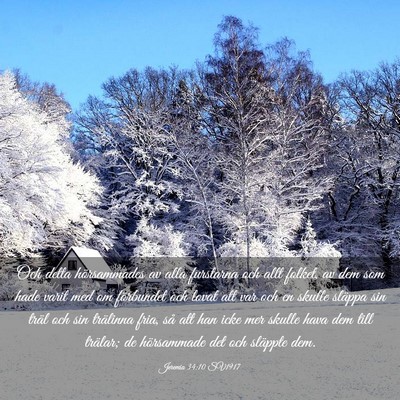 Picture 03 - Jeremia 34:10 SV1917 - Och detta hörsammades av alla furstarna och allt - Bible Verse Picture