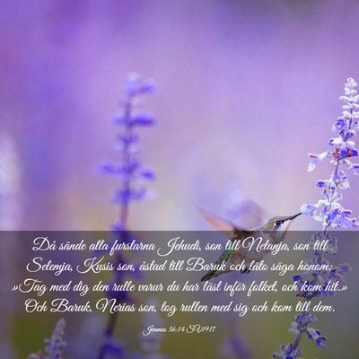 Picture 03 - Jeremia 36:14 SV1917 - Då sände alla furstarna Jehudi, son till - Bible Verse Picture