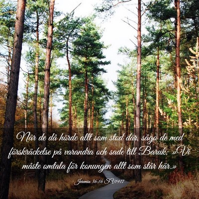 Picture 03 - Jeremia 36:16 SV1917 - När de då hörde allt som stod där, sågo de - Bible Verse Picture