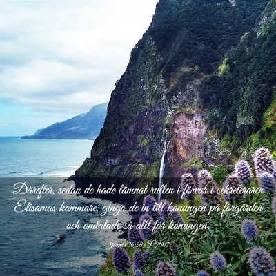 Picture 03 - Jeremia 36:20 SV1917 - Därefter, sedan de hade lämnat rullen i förvar - Bible Verse Picture