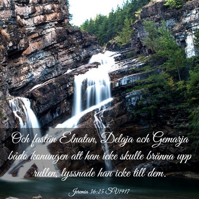 Picture 03 - Jeremia 36:25 SV1917 - Och fastän Elnatan, Delaja och Gemarja bådo - Bible Verse Picture
