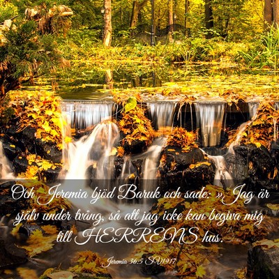 Picture 03 - Jeremia 36:5 SV1917 - Och Jeremia bjöd Baruk och sade: »Jag är - Bible Verse Picture