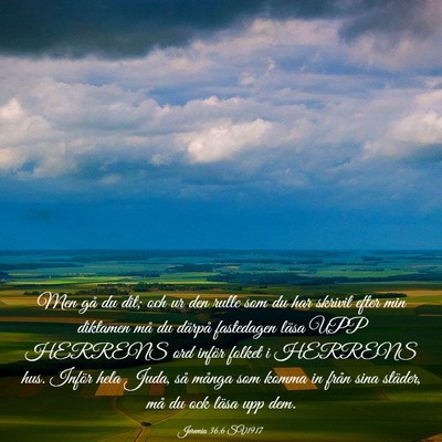 Picture 03 - Jeremia 36:6 SV1917 - Men gå du dit; och ur den rulle som du har - Bible Verse Picture