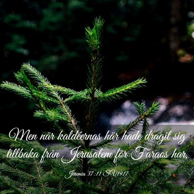 Picture 03 - Jeremia 37:11 SV1917 - Men när kaldéernas här hade dragit sig - Bible Verse Picture