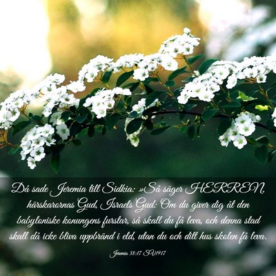 Picture 03 - Jeremia 38:17 SV1917 - Då sade Jeremia till Sidkia: »Så säger - Bible Verse Picture