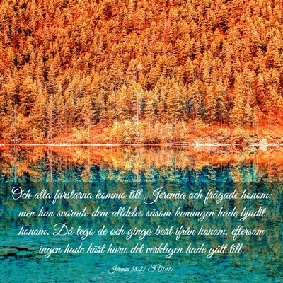 Picture 03 - Jeremia 38:27 SV1917 - Och alla furstarna kommo till Jeremia och - Bible Verse Picture