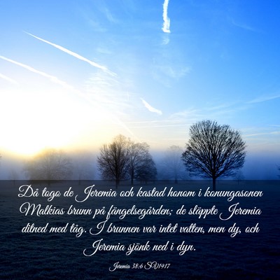 Picture 03 - Jeremia 38:6 SV1917 - Då togo de Jeremia och kastad honom i - Bible Verse Picture