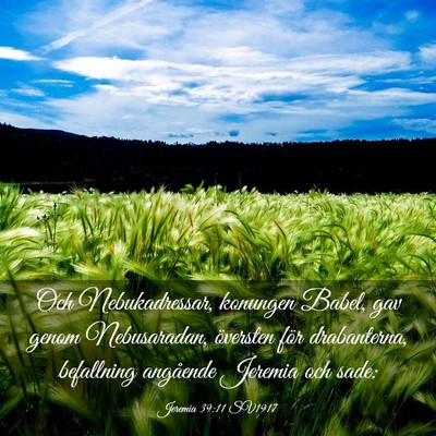 Picture 03 - Jeremia 39:11 SV1917 - Och Nebukadressar, konungen Babel, gav genom - Bible Verse Picture