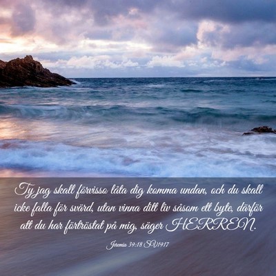 Picture 03 - Jeremia 39:18 SV1917 - Ty jag skall förvisso låta dig komma undan, och - Bible Verse Picture
