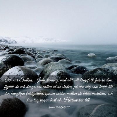 Picture 03 - Jeremia 39:4 SV1917 - Och när Sidkia, Juda konung, med allt sitt - Bible Verse Picture