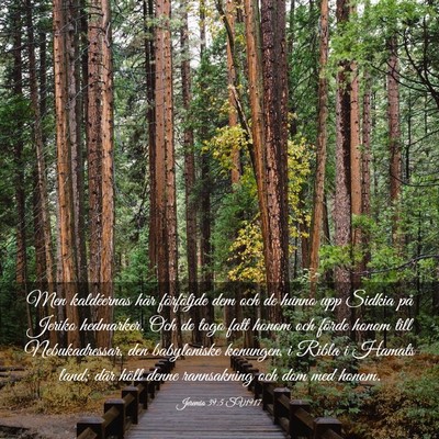 Picture 03 - Jeremia 39:5 SV1917 - Men kaldéernas här förföljde dem och de hunno - Bible Verse Picture