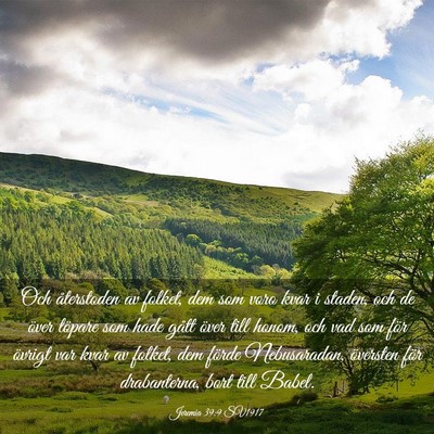 Picture 03 - Jeremia 39:9 SV1917 - Och återstoden av folket, dem som voro kvar i - Bible Verse Picture