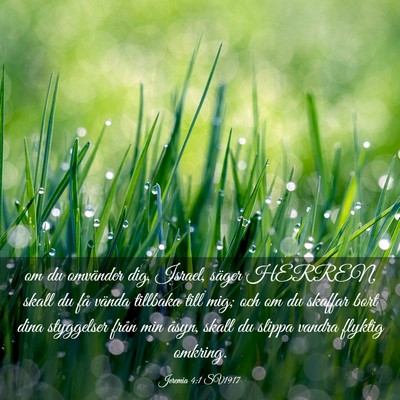 Picture 03 - Jeremia 4:1 SV1917 - om du omvänder dig, Israel, säger HERREN, skall - Bible Verse Picture