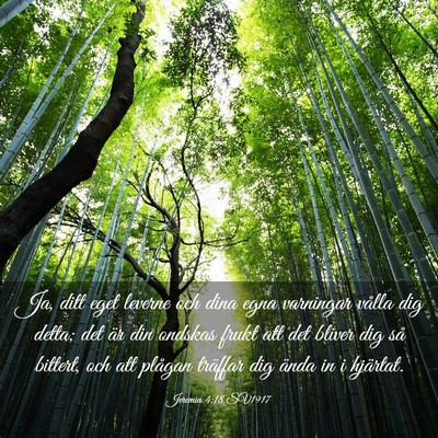 Picture 03 - Jeremia 4:18 SV1917 - Ja, ditt eget leverne och dina egna varningar - Bible Verse Picture