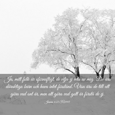 Picture 03 - Jeremia 4:22 SV1917 - Ja, mitt folk är oförnuftigt, de vilja ej veta - Bible Verse Picture