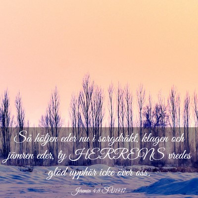 Picture 03 - Jeremia 4:8 SV1917 - Så höljen eder nu i sorgdräkt, klagen och - Bible Verse Picture