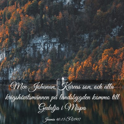 Picture 03 - Jeremia 40:13 SV1917 - Men Johanan, Kareas son, och alla - Bible Verse Picture