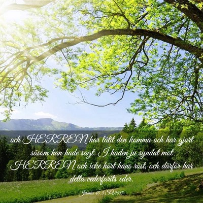 Picture 03 - Jeremia 40:3 SV1917 - och HERREN har låtit den komma och har gjort - Bible Verse Picture