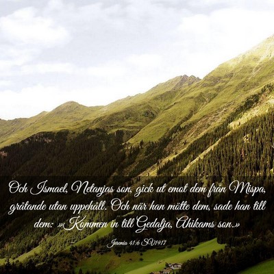 Picture 03 - Jeremia 41:6 SV1917 - Och Ismael, Netanjas son, gick ut emot dem från - Bible Verse Picture
