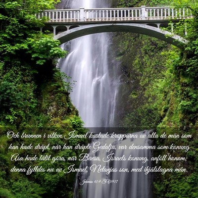 Picture 03 - Jeremia 41:9 SV1917 - Och brunnen i vilken Ismael kastade kropparna av - Bible Verse Picture