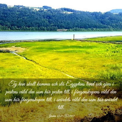 Picture 03 - Jeremia 43:11 SV1917 - Ty han skall komma och slå Egyptens land och - Bible Verse Picture
