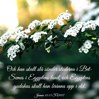 Picture 03 - Jeremia 43:13 SV1917 - Och han skall slå sönder stoderna i Bet-Semes i - Bible Verse Picture
