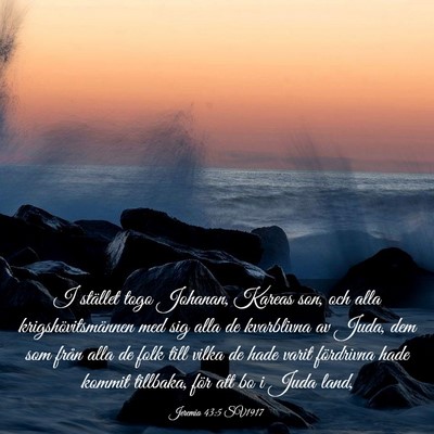 Picture 03 - Jeremia 43:5 SV1917 - I stället togo Johanan, Kareas son, och alla - Bible Verse Picture