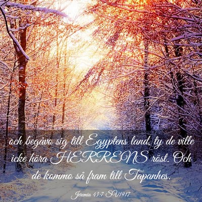 Picture 03 - Jeremia 43:7 SV1917 - och begåvo sig till Egyptens land, ty de ville - Bible Verse Picture