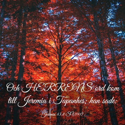 Picture 03 - Jeremia 43:8 SV1917 - Och HERRENS ord kom till Jeremia i Tapanhes; han - Bible Verse Picture