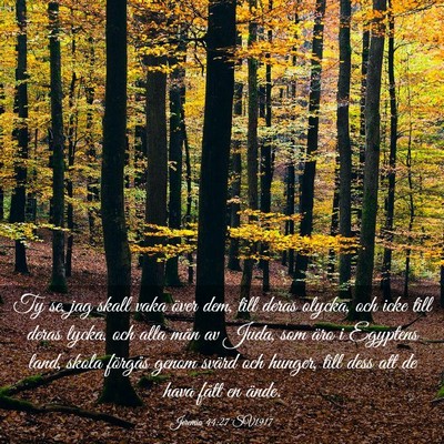Picture 03 - Jeremia 44:27 SV1917 - Ty se, jag skall vaka över dem, till deras - Bible Verse Picture