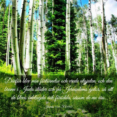 Picture 03 - Jeremia 44:6 SV1917 - Därför blev min förtörnelse och vrede - Bible Verse Picture