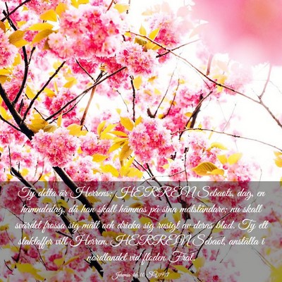 Picture 03 - Jeremia 46:10 SV1917 - Ty detta är Herrens; HERREN Sebaots, dag, en - Bible Verse Picture