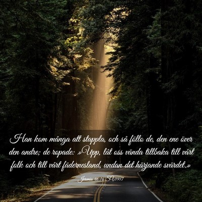 Picture 03 - Jeremia 46:16 SV1917 - Han kom många att stappla, och så föllo de, - Bible Verse Picture