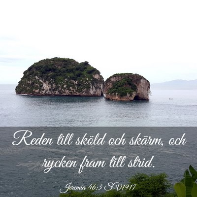 Picture 03 - Jeremia 46:3 SV1917 - Reden till sköld och skärm, och rycken fram - Bible Verse Picture