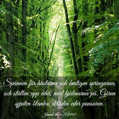 Picture 03 - Jeremia 46:4 SV1917 - Spännen för hästarna och bestigen springarna, - Bible Verse Picture