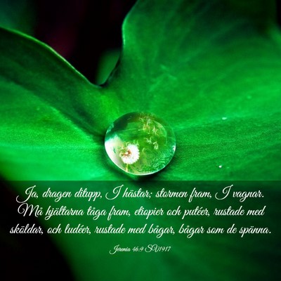 Picture 03 - Jeremia 46:9 SV1917 - Ja, dragen ditupp, I hästar; stormen fram, I - Bible Verse Picture