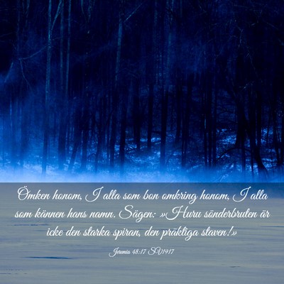 Picture 03 - Jeremia 48:17 SV1917 - Ömken honom, I alla som bon omkring honom, I - Bible Verse Picture