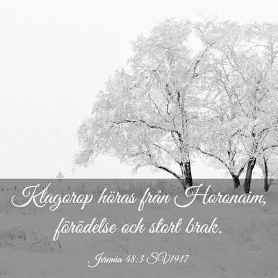 Picture 03 - Jeremia 48:3 SV1917 - Klagorop höras från Horonaim, förödelse och - Bible Verse Picture