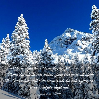 Picture 03 - Jeremia 48:32 SV1917 - Mer än Jaeser gråter, måste jag gråta över - Bible Verse Picture