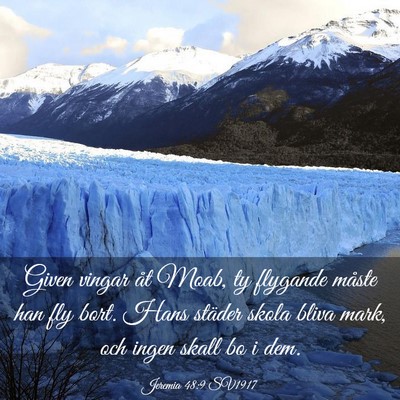 Picture 03 - Jeremia 48:9 SV1917 - Given vingar åt Moab, ty flygande måste han fly - Bible Verse Picture