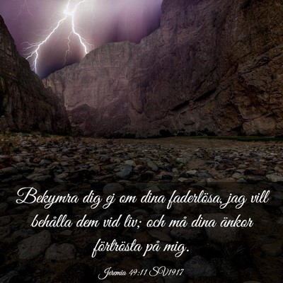Picture 03 - Jeremia 49:11 SV1917 - Bekymra dig ej om dina faderlösa, jag vill - Bible Verse Picture