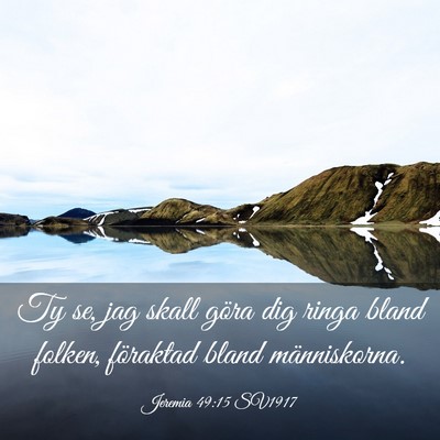Picture 03 - Jeremia 49:15 SV1917 - Ty se, jag skall göra dig ringa bland folken, - Bible Verse Picture