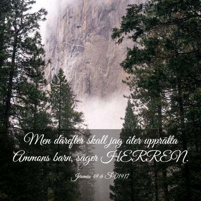 Picture 03 - Jeremia 49:6 SV1917 - Men därefter skall jag åter upprätta Ammons - Bible Verse Picture